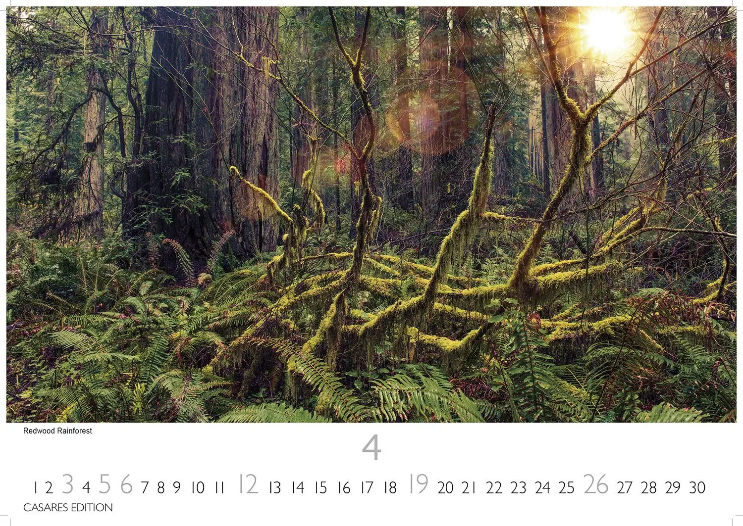 Bild: 9781835246016 | Kalifornien 2026 S 24x35cm | Kalender | 14 S. | Deutsch | 2026