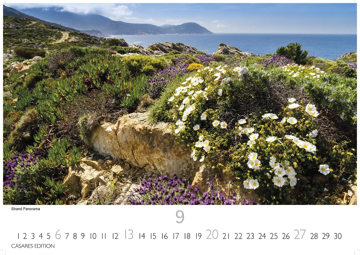 Bild: 9781835246016 | Kalifornien 2026 S 24x35cm | Kalender | 14 S. | Deutsch | 2026