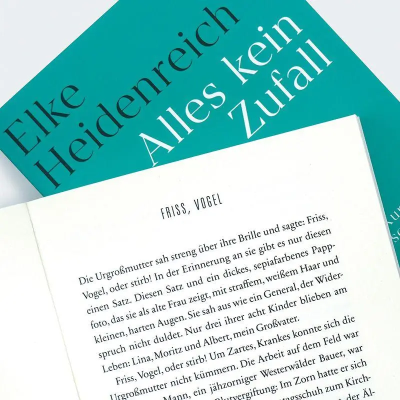 Bild: 9783446286016 | Alles kein Zufall | Kurze Geschichten | Elke Heidenreich | Taschenbuch