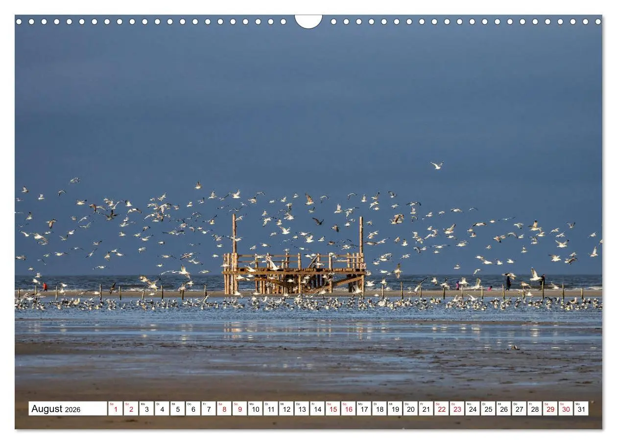 Bild: 9783457866016 | Impressionen aus Sankt Peter-Ording (Wandkalender 2026 DIN A3...