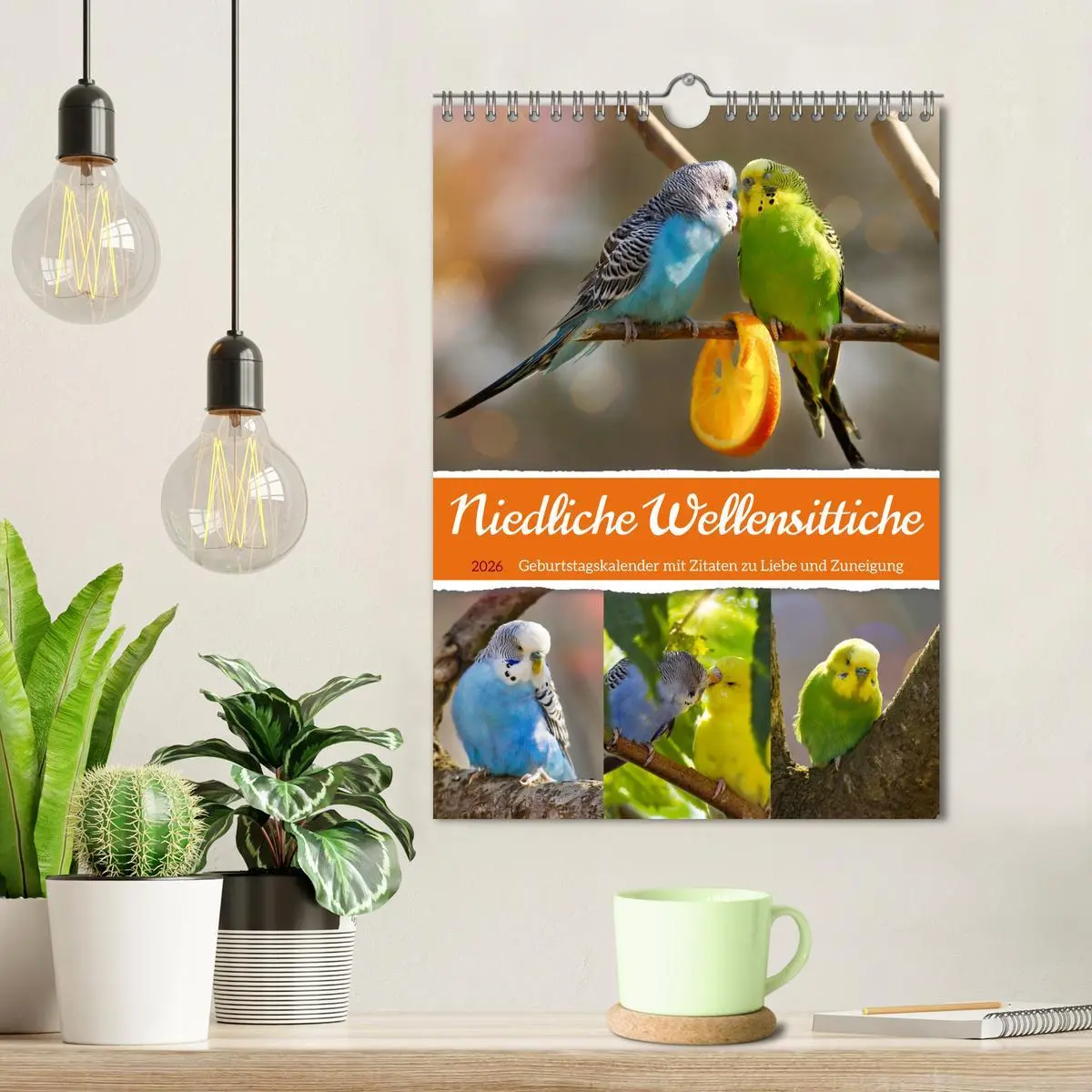 Bild: 9783516336016 | Niedliche Wellensittiche (Wandkalender 2026 DIN A4 hoch), CALVENDO...