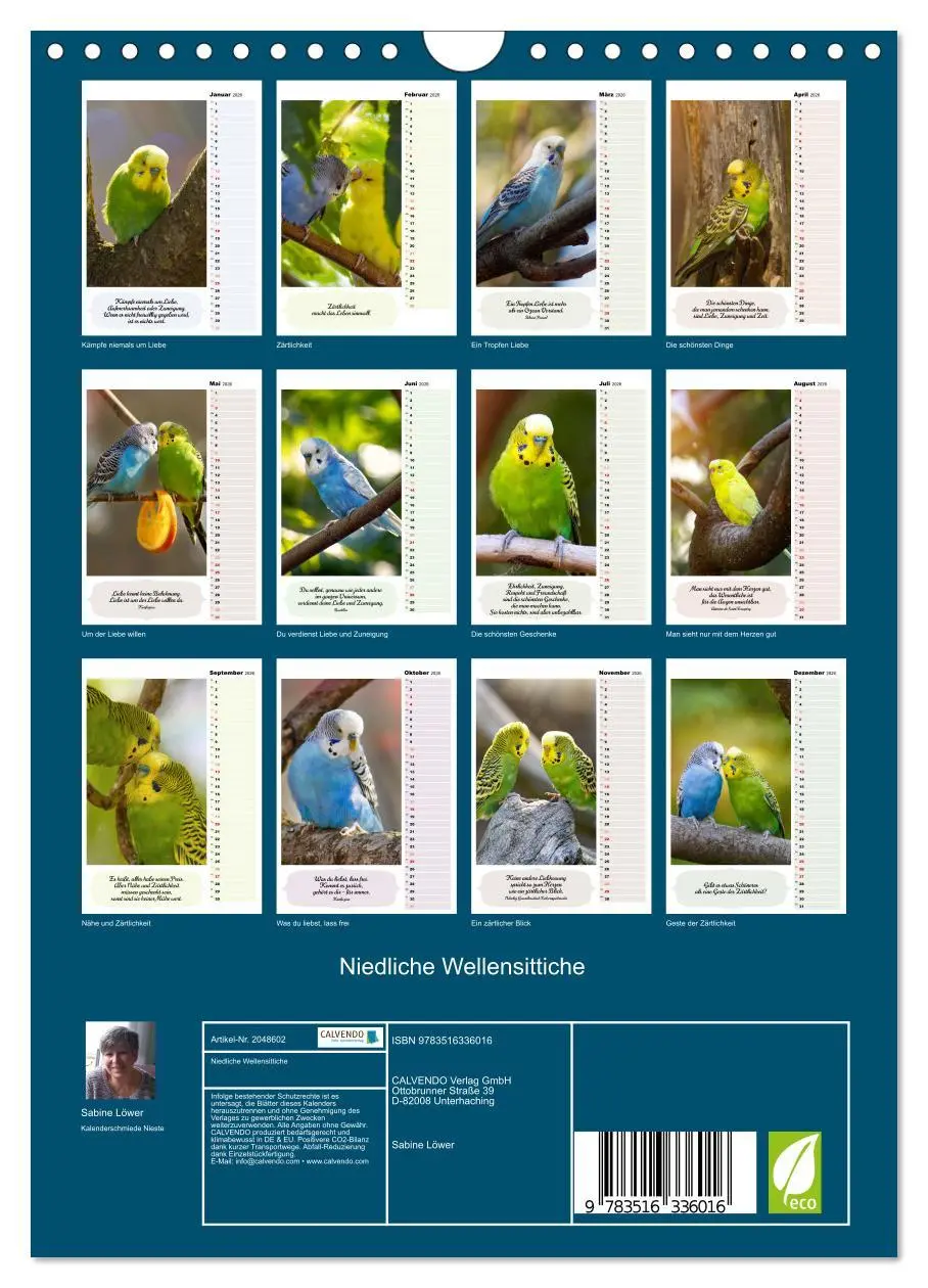 Bild: 9783516336016 | Niedliche Wellensittiche (Wandkalender 2026 DIN A4 hoch), CALVENDO...
