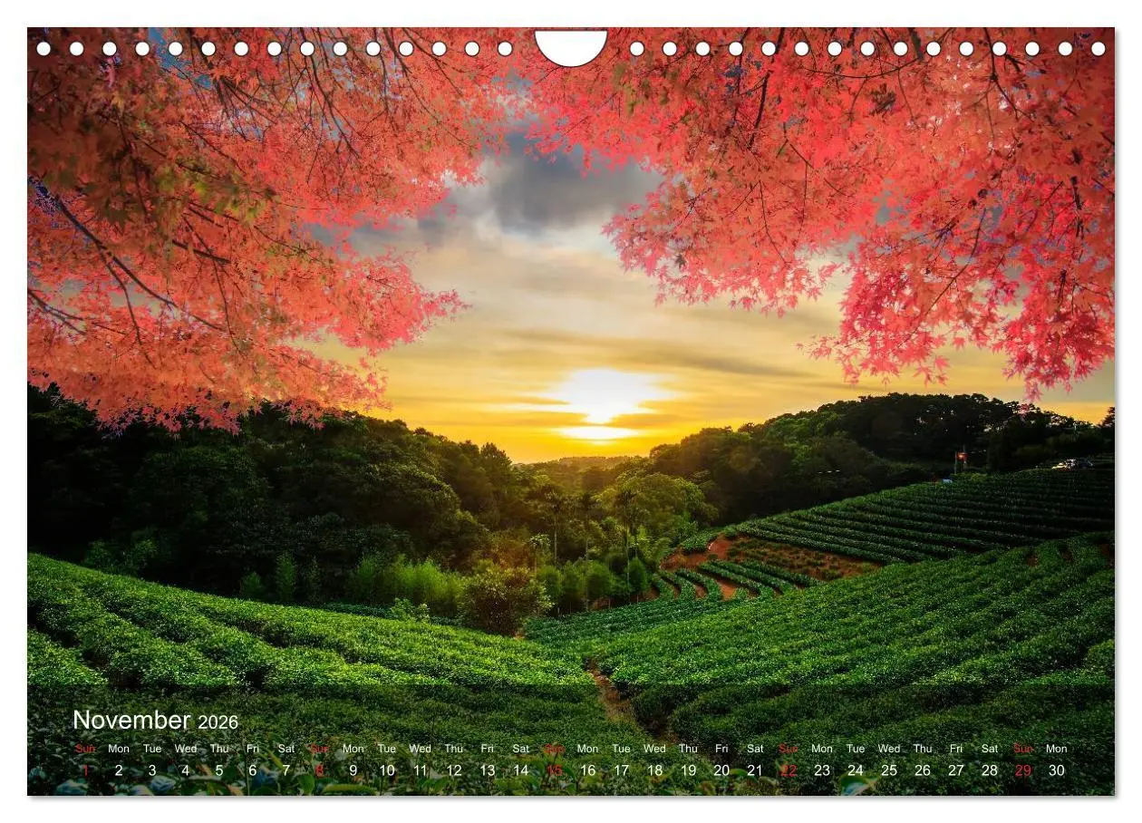 Bild: 9783516576016 | Japan Magic of a great country (Wall Calendar 2026 DIN A4...
