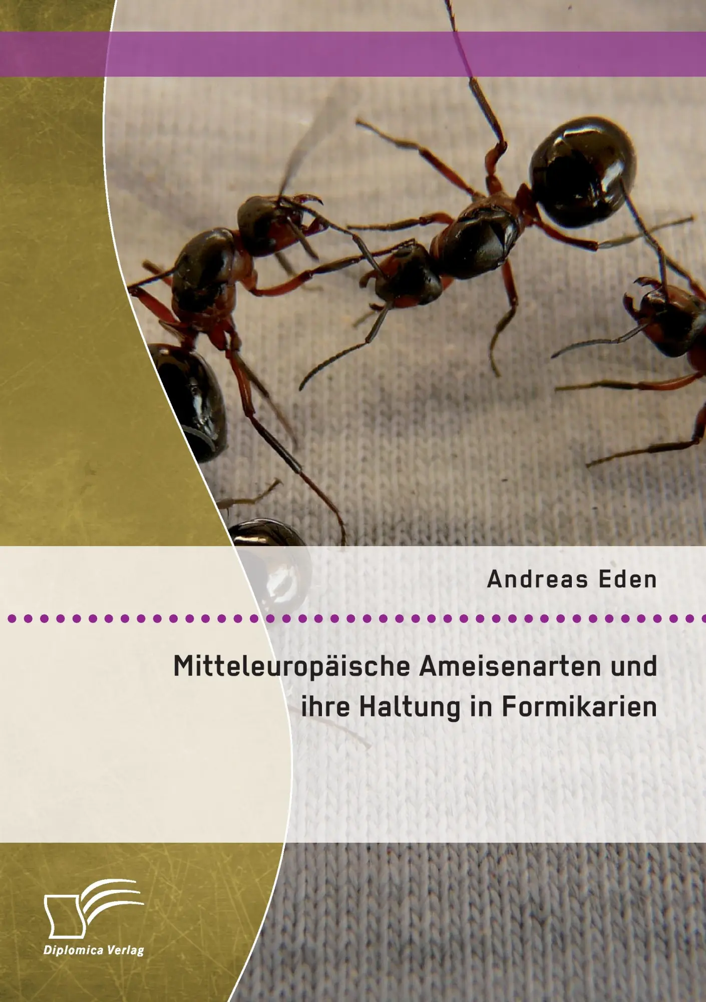 Cover: 9783959346016 | Mitteleuropäische Ameisenarten und ihre Haltung in Formikarien | Eden