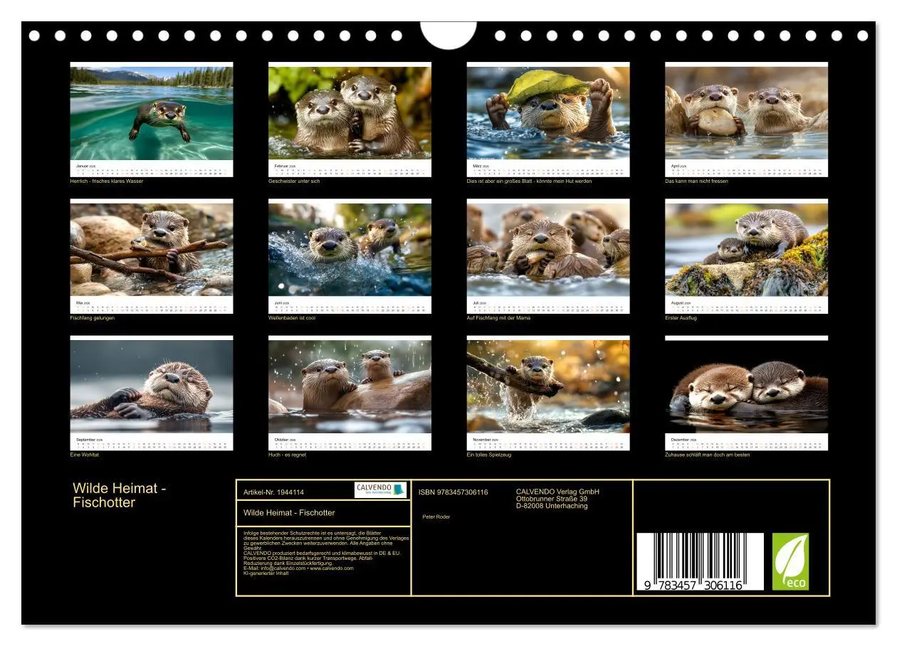 Bild: 9783457306116 | Wilde Heimat - Fischotter (Wandkalender 2026 DIN A4 quer), CALVENDO...