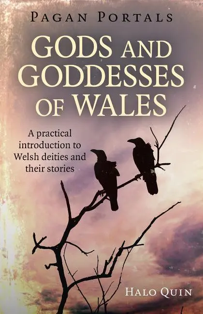 Cover: 9781785356216 | Pagan Portals - Gods and Goddesses of Wales: A Practical...