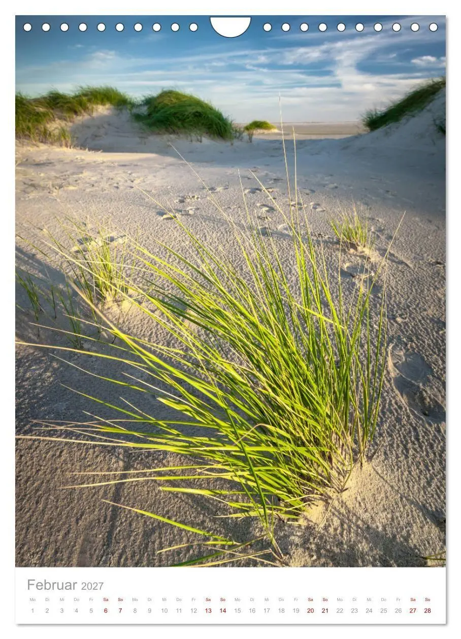 Bild: 9783569646216 | Amrum - Das Gesicht der Nordsee (Wandkalender 2027 DIN A4 hoch),...