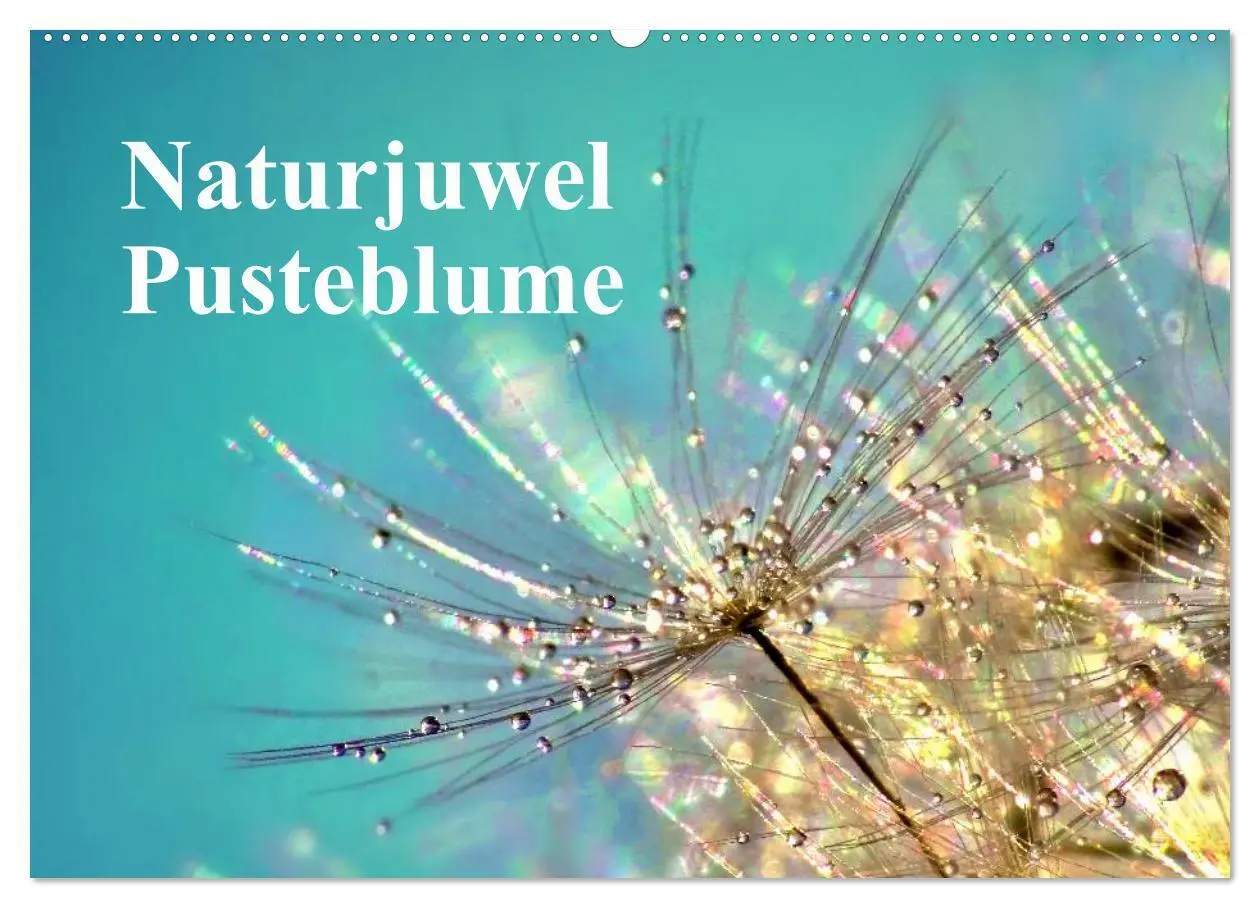 Cover: 9783435746316 | Naturjuwel Pusteblume (Wandkalender 2025 DIN A2 quer), CALVENDO...