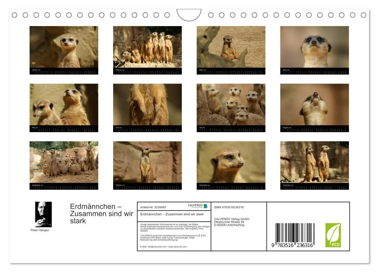 Bild: 9783516236316 | Erdmännchen - Zusammen sind wir stark (Wandkalender 2026 DIN A4...