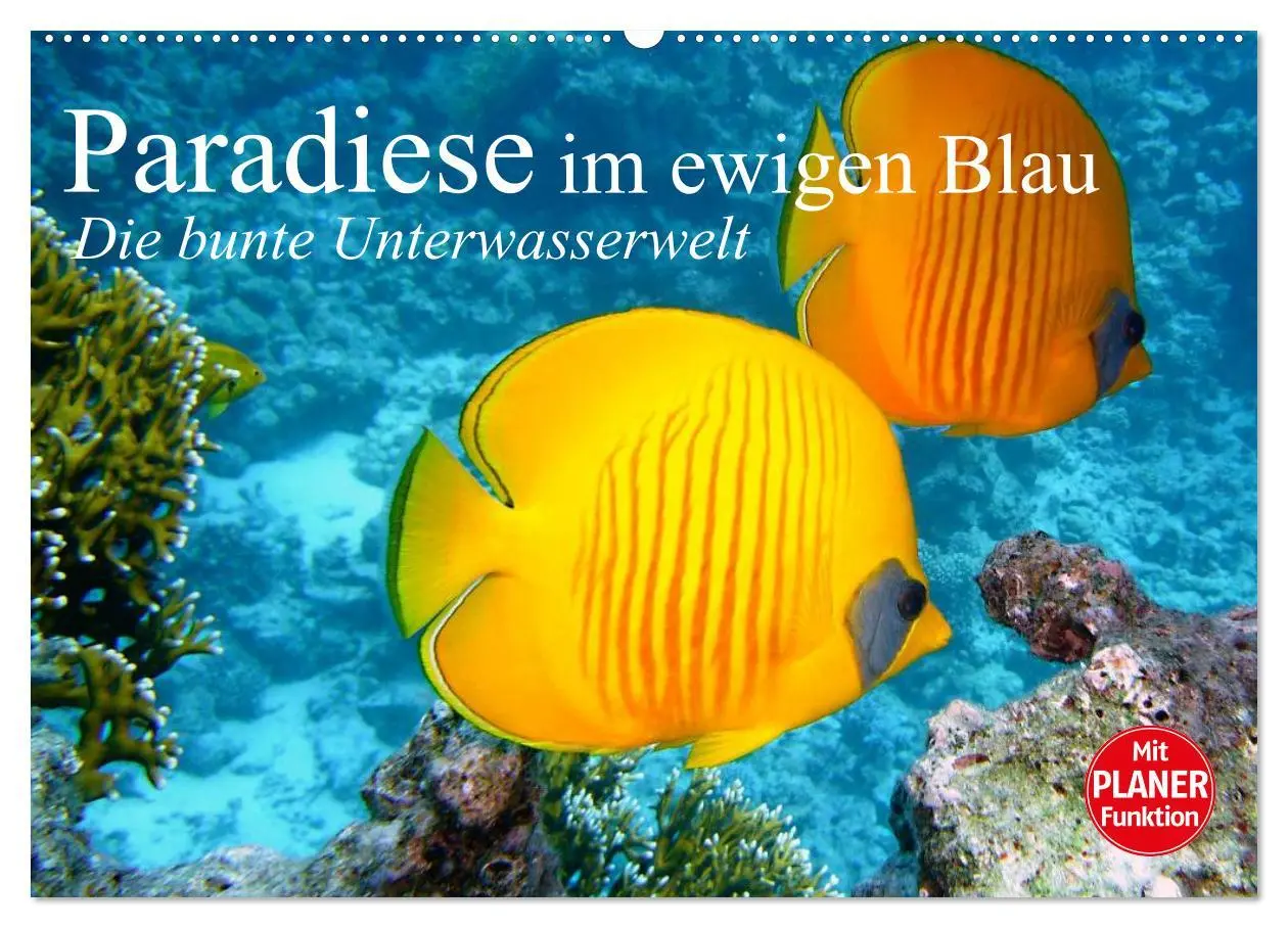 Cover: 9783457996416 | Paradiese im ewigen Blau. Die bunte Unterwasserwelt (Wandkalender...
