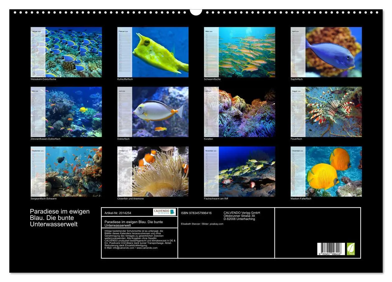 Bild: 9783457996416 | Paradiese im ewigen Blau. Die bunte Unterwasserwelt (Wandkalender...
