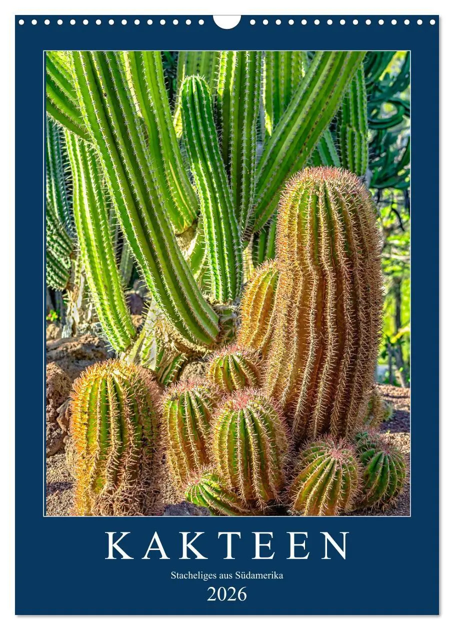 Cover: 9783516396416 | Kakteen - Stacheliges aus Südamerika (Wandkalender 2026 DIN A3...
