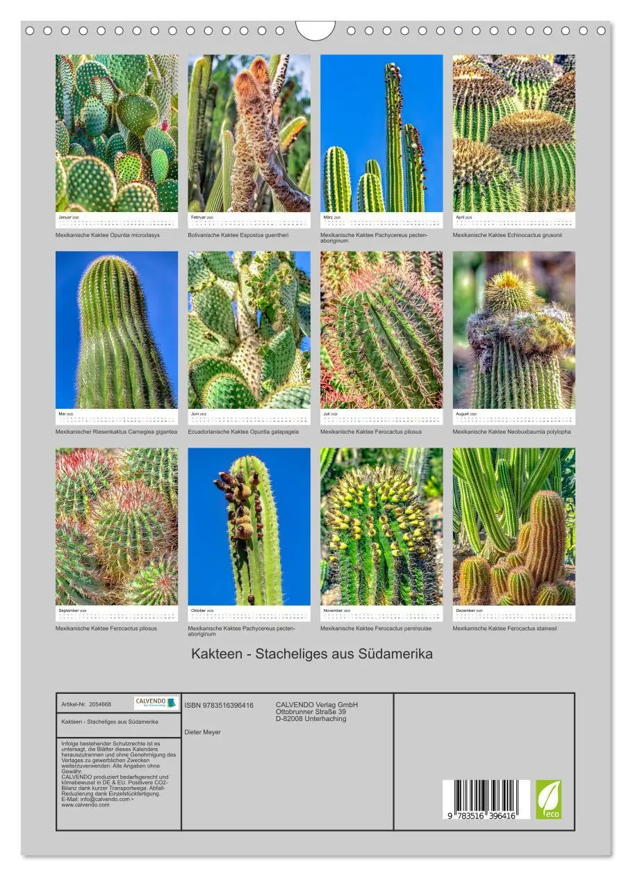 Bild: 9783516396416 | Kakteen - Stacheliges aus Südamerika (Wandkalender 2026 DIN A3...