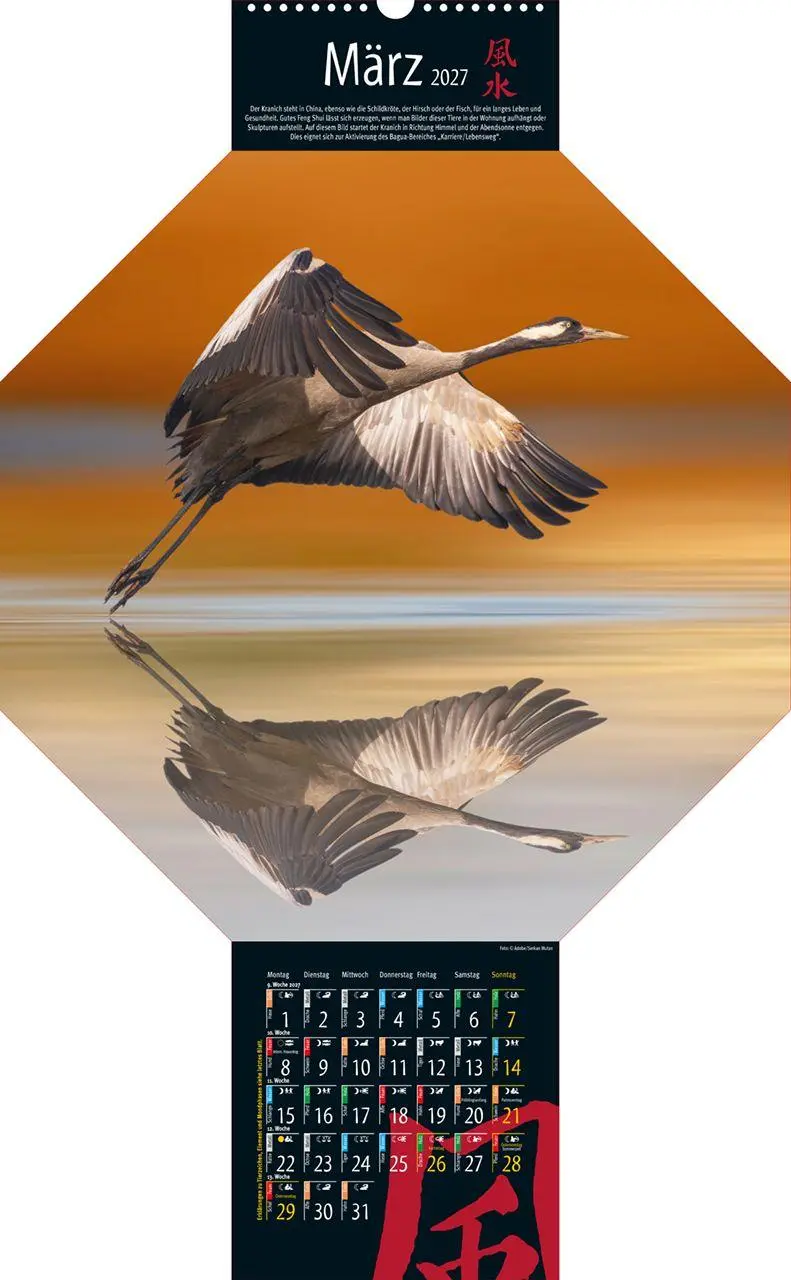 Bild: 9783948276416 | Feng-Shui-Kalender 2027 | Vision Creativ Verlag | Kalender | 15 S.