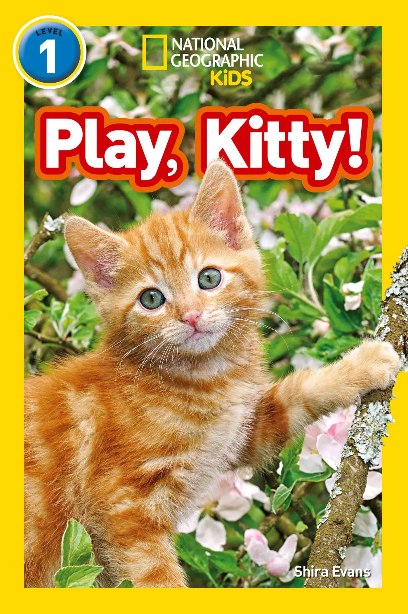 Cover: 9780008266516 | Play, Kitty! | Level 1 | National Geographic Kids (u. a.) | Buch