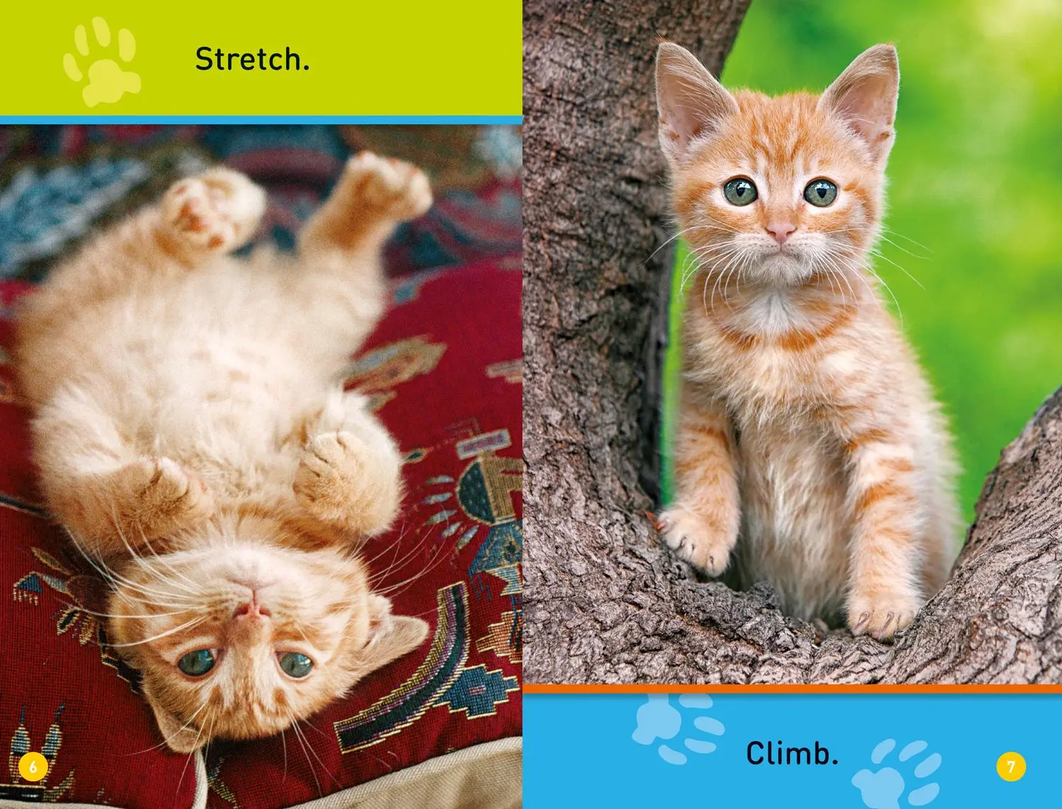 Bild: 9780008266516 | Play, Kitty! | Level 1 | National Geographic Kids (u. a.) | Buch