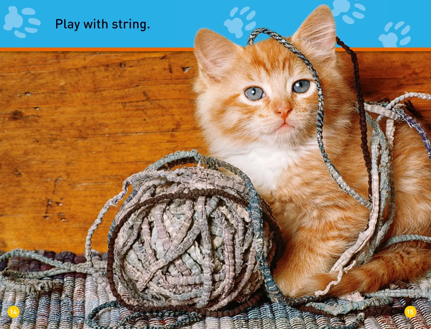 Bild: 9780008266516 | Play, Kitty! | Level 1 | National Geographic Kids (u. a.) | Buch