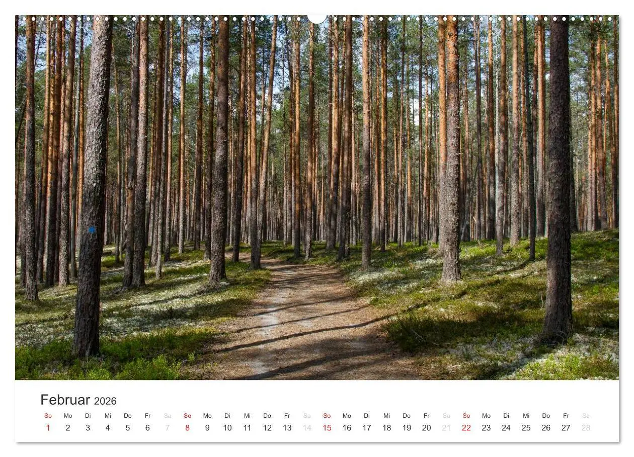 Bild: 9783516076516 | Naturparadies Finnland (hochwertiger Premium Wandkalender 2026 DIN...