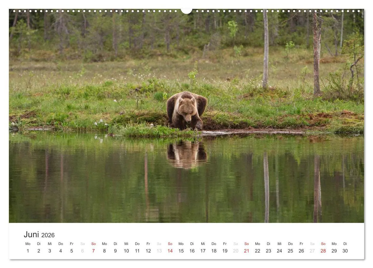 Bild: 9783516076516 | Naturparadies Finnland (hochwertiger Premium Wandkalender 2026 DIN...