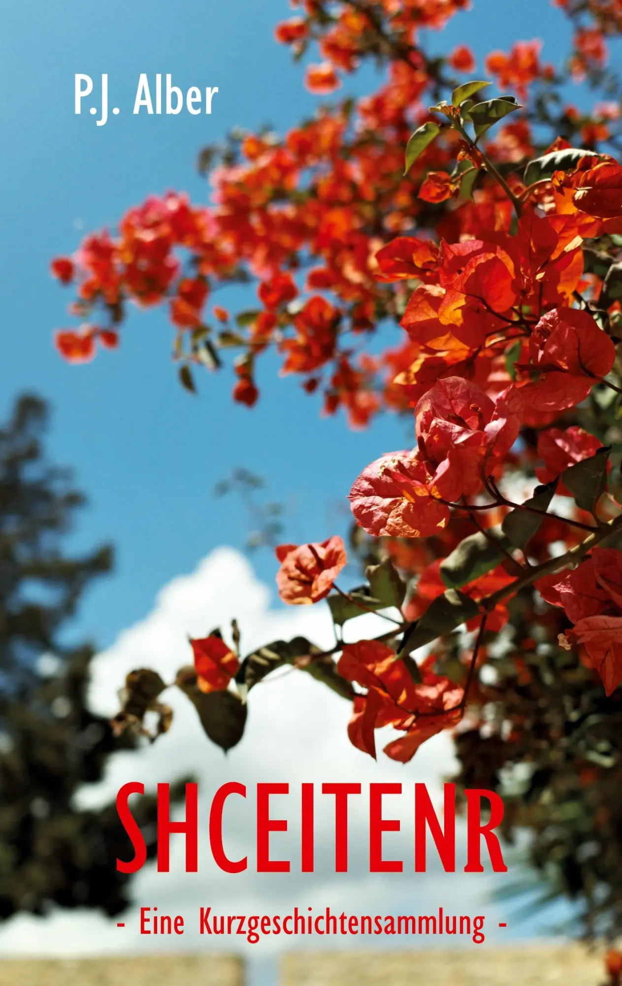 Cover: 9783695726516 | Shceitenr | Eine Kurzgeschichtensammlung | P. J. Alber | Taschenbuch