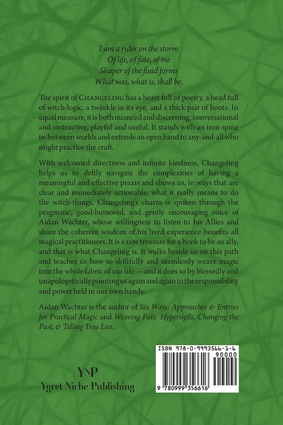 Rückseite: 9780999356616 | Changeling | A Book Of Qualities | Aidan Wachter | Taschenbuch | 2021