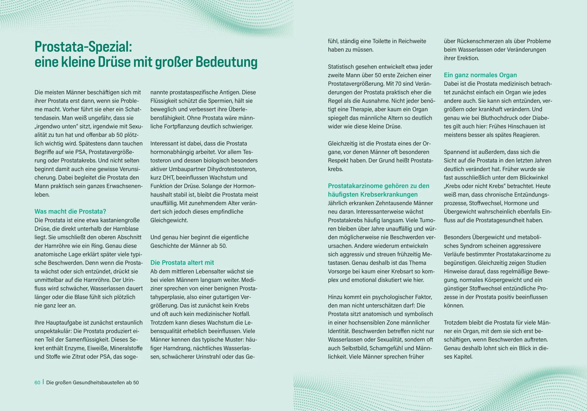 Bild: 9783965846616 | Halbzeit-Check: Männergesundheit ab 50 | Heinz-Wilhelm Esser | Buch