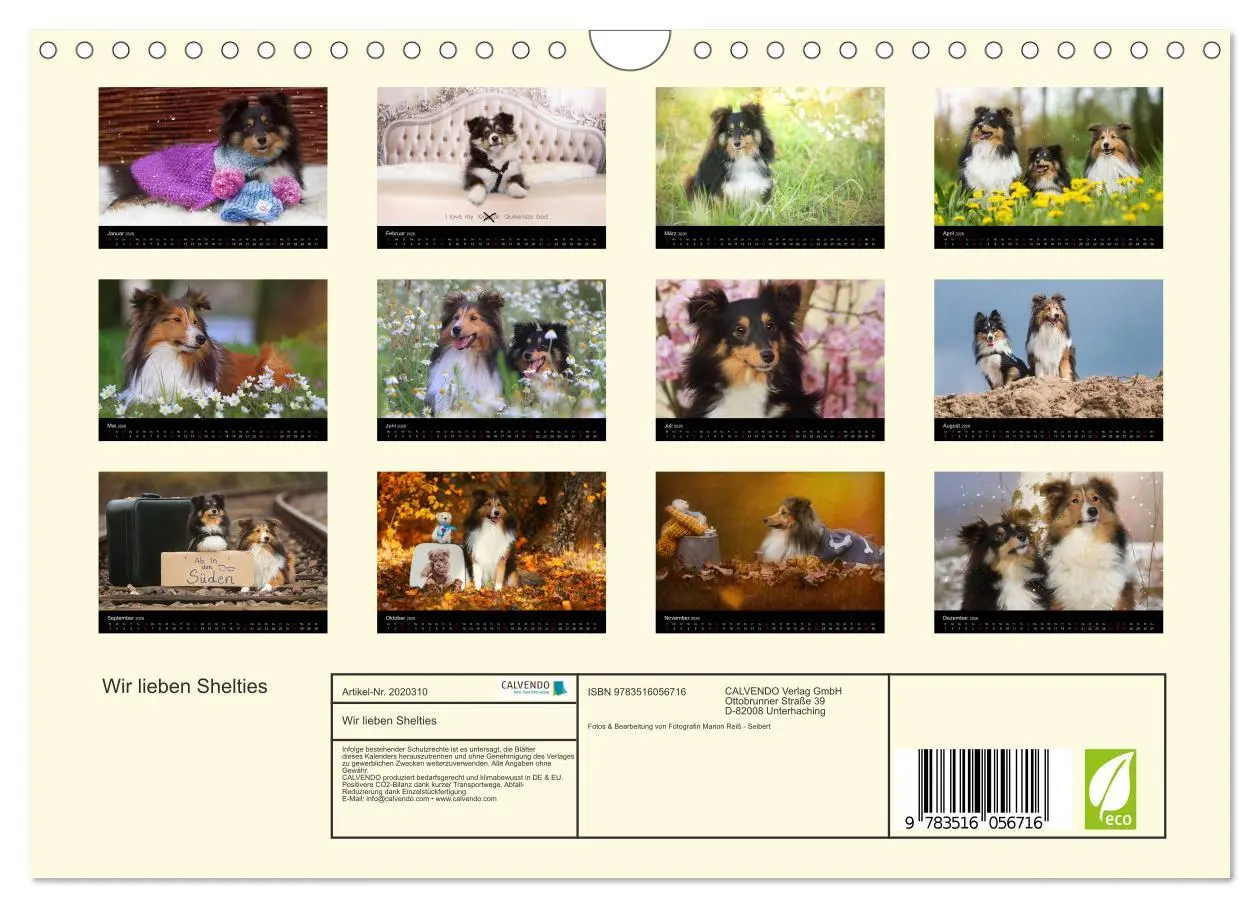 Bild: 9783516056716 | Wir lieben Shelties (Wandkalender 2026 DIN A4 quer), CALVENDO...
