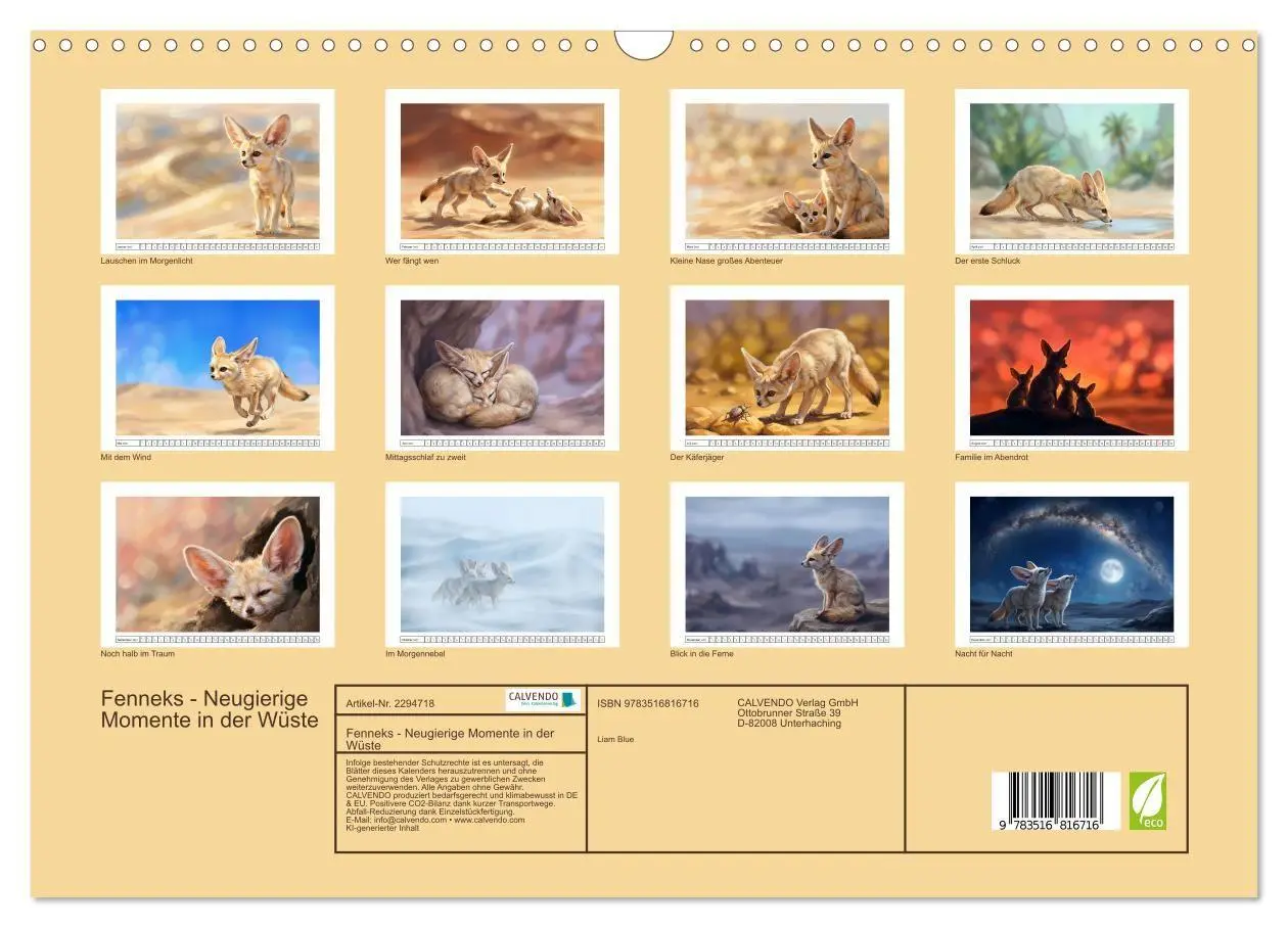 Bild: 9783516816716 | Fenneks - Neugierige Momente in der Wüste (Wandkalender 2027 DIN A3...