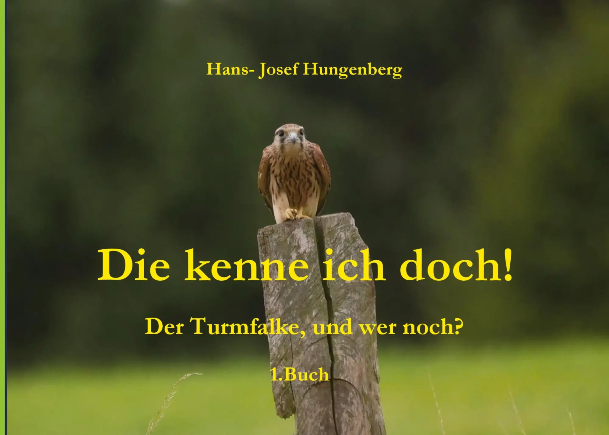 Cover: 9783695186716 | Die kenne ich doch! | Der Turmfalke, und wer noch? | Hungenberg | Buch