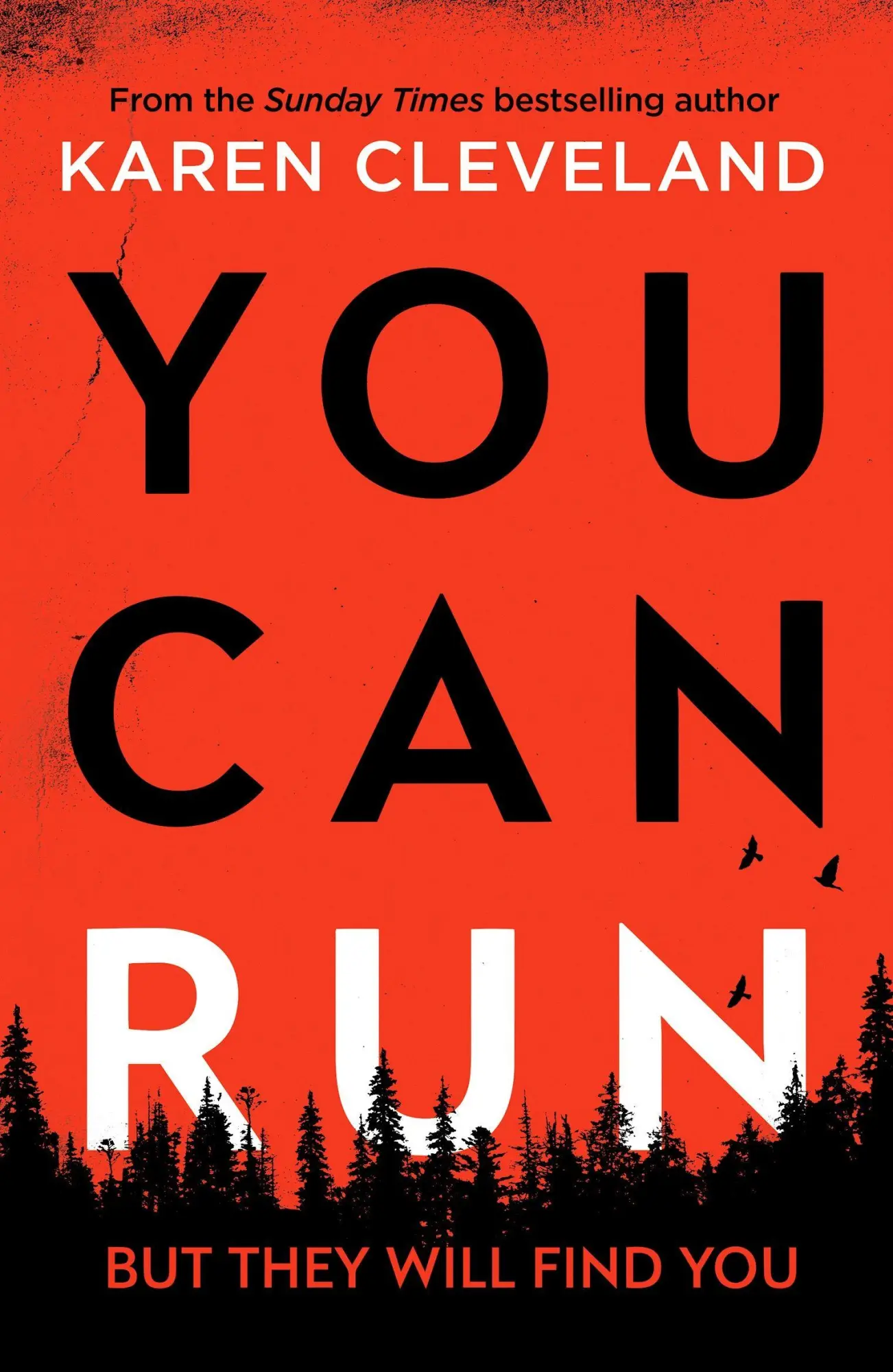 Cover: 9781800327016 | You Can Run | An unputdownable thriller | Karen Cleveland | Buch