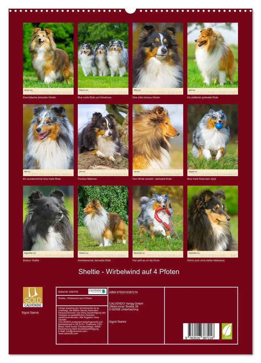 Bild: 9783516387216 | Sheltie - Wirbelwind auf 4 Pfoten (hochwertiger Premium...