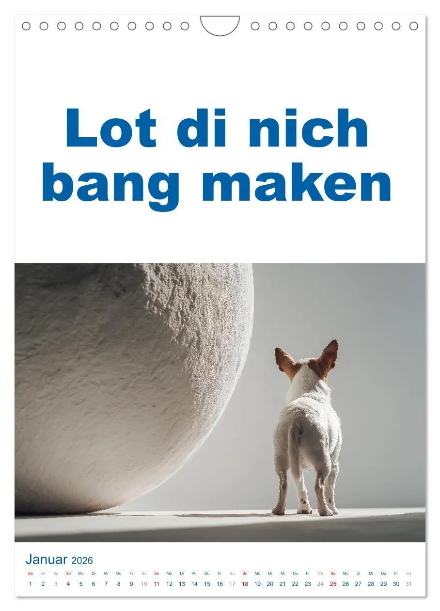 Bild: 9783516697216 | Hamburg schnackt! Typische Sprüche und echte Hamburger Mundart...
