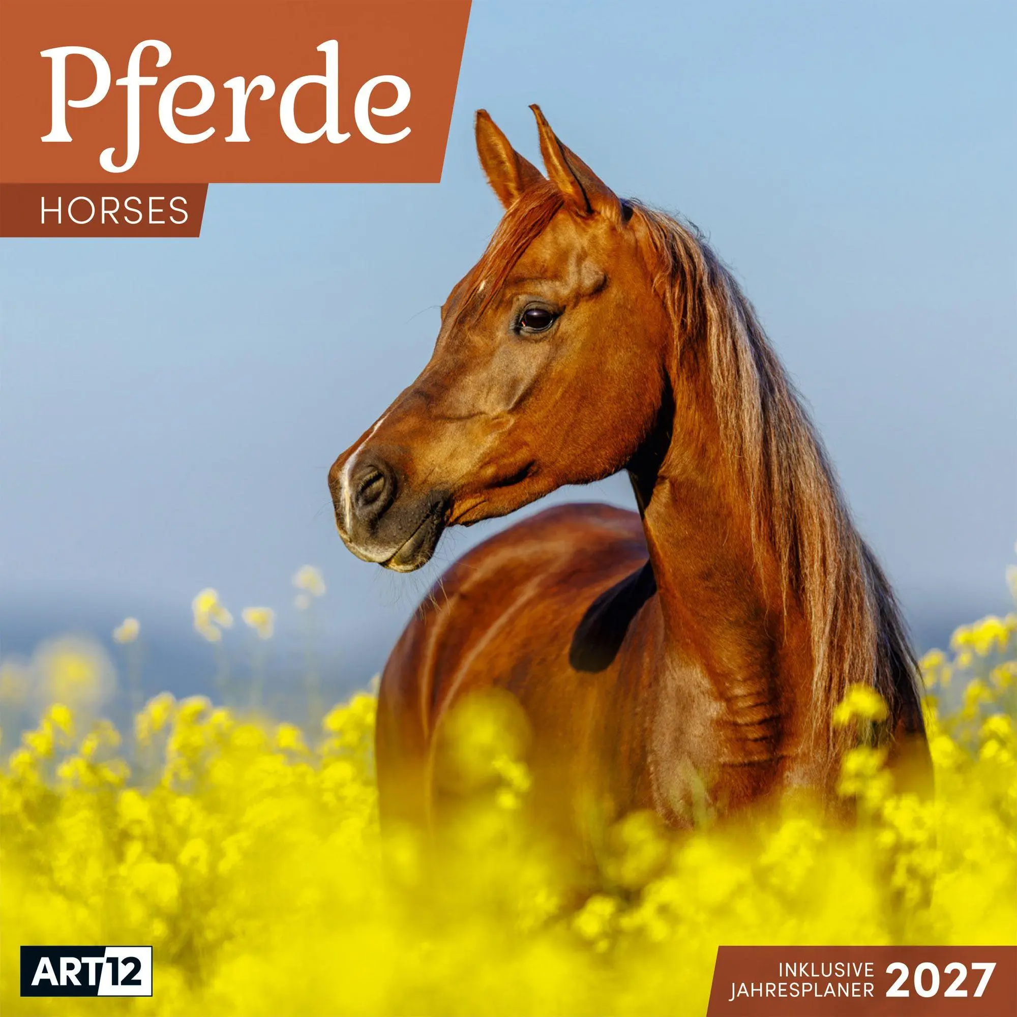 Cover: 9783838447216 | Pferde Kalender 2027 - 30x30 - Art12 | Ackermann Kunstverlag GmbH
