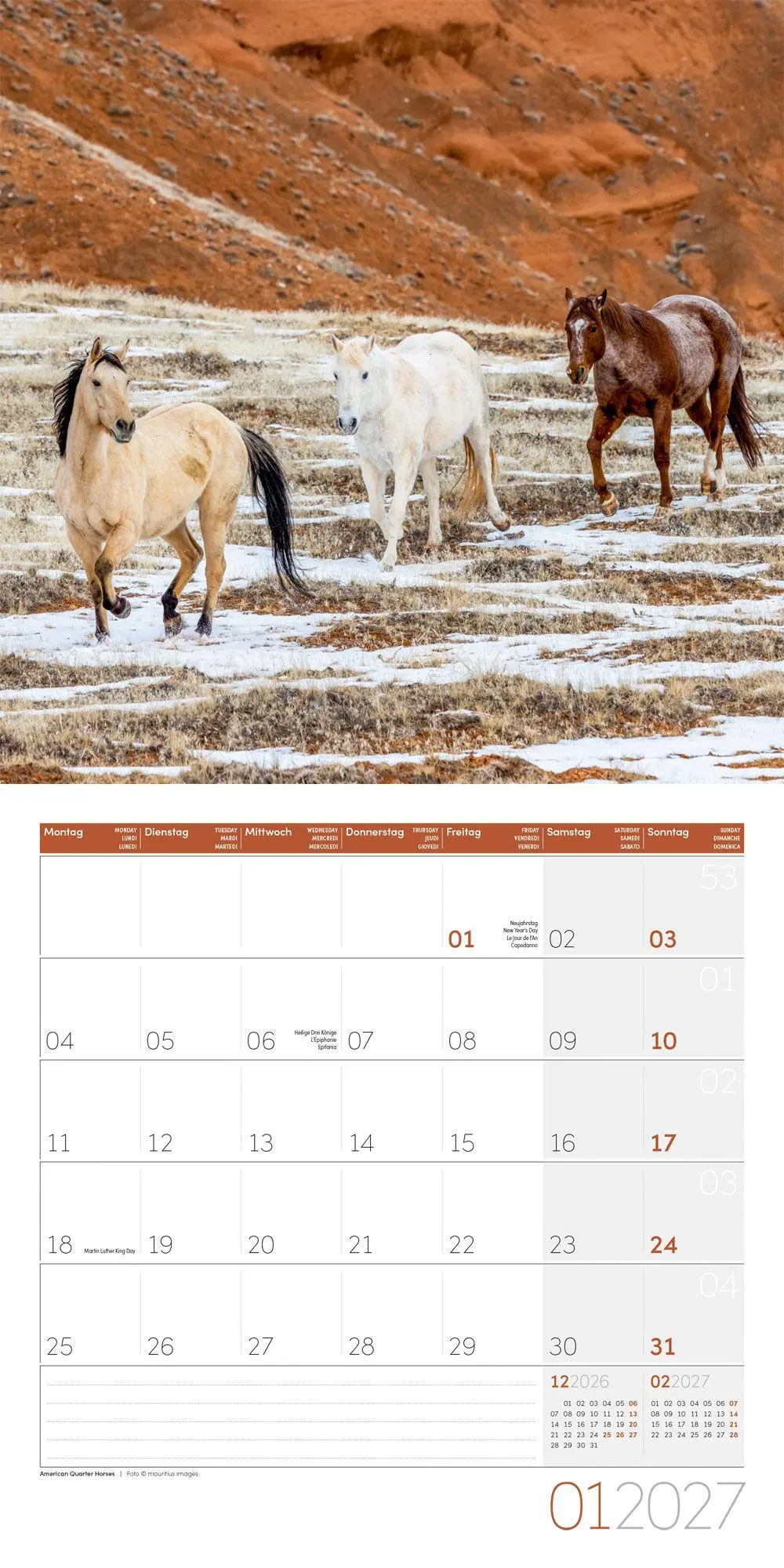 Bild: 9783838447216 | Pferde Kalender 2027 - 30x30 - Art12 | Ackermann Kunstverlag GmbH