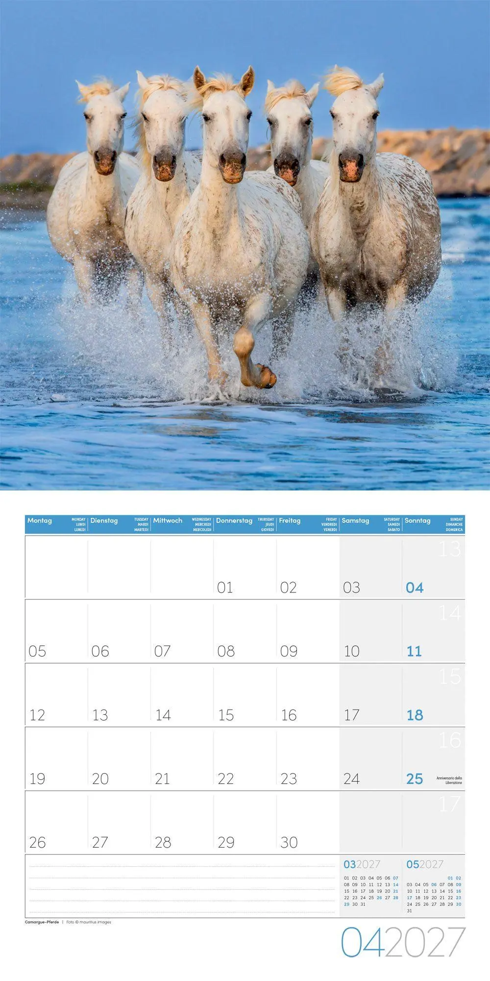 Bild: 9783838447216 | Pferde Kalender 2027 - 30x30 - Art12 | Ackermann Kunstverlag GmbH