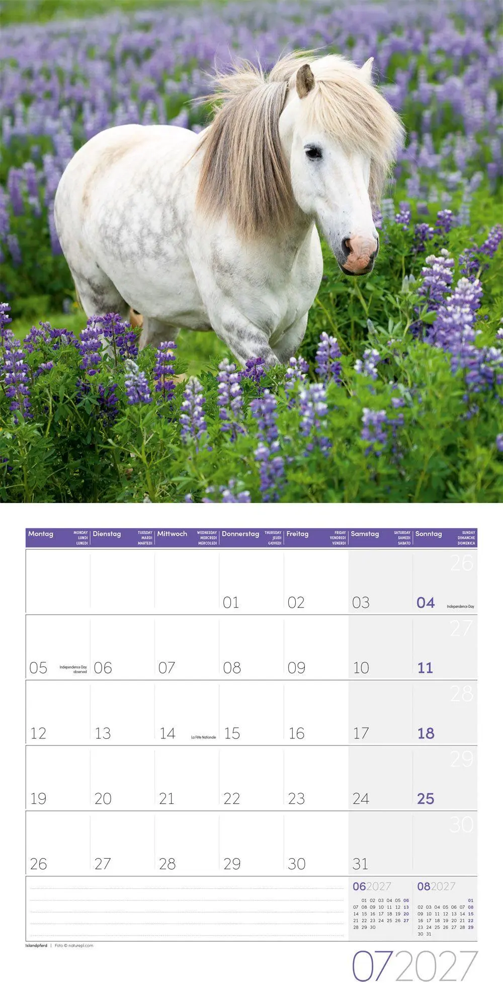 Bild: 9783838447216 | Pferde Kalender 2027 - 30x30 - Art12 | Ackermann Kunstverlag GmbH