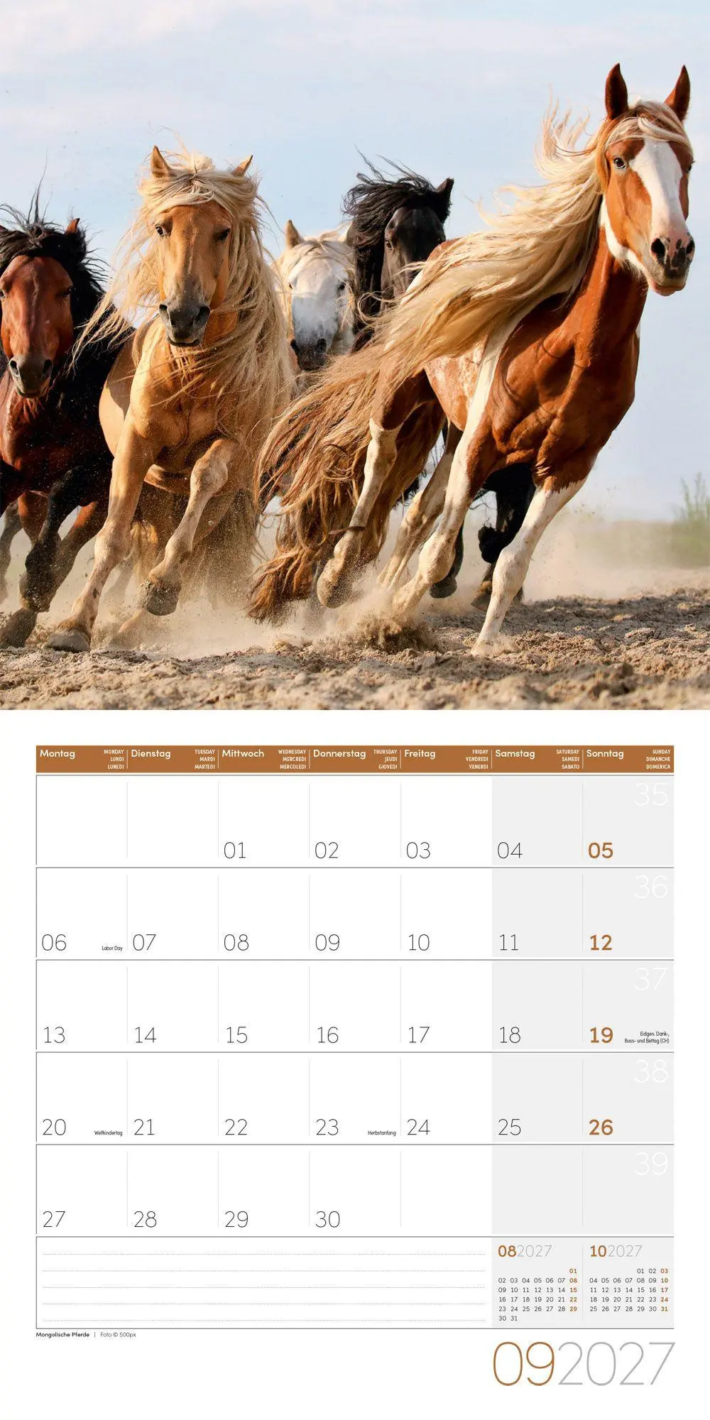 Bild: 9783838447216 | Pferde Kalender 2027 - 30x30 - Art12 | Ackermann Kunstverlag GmbH