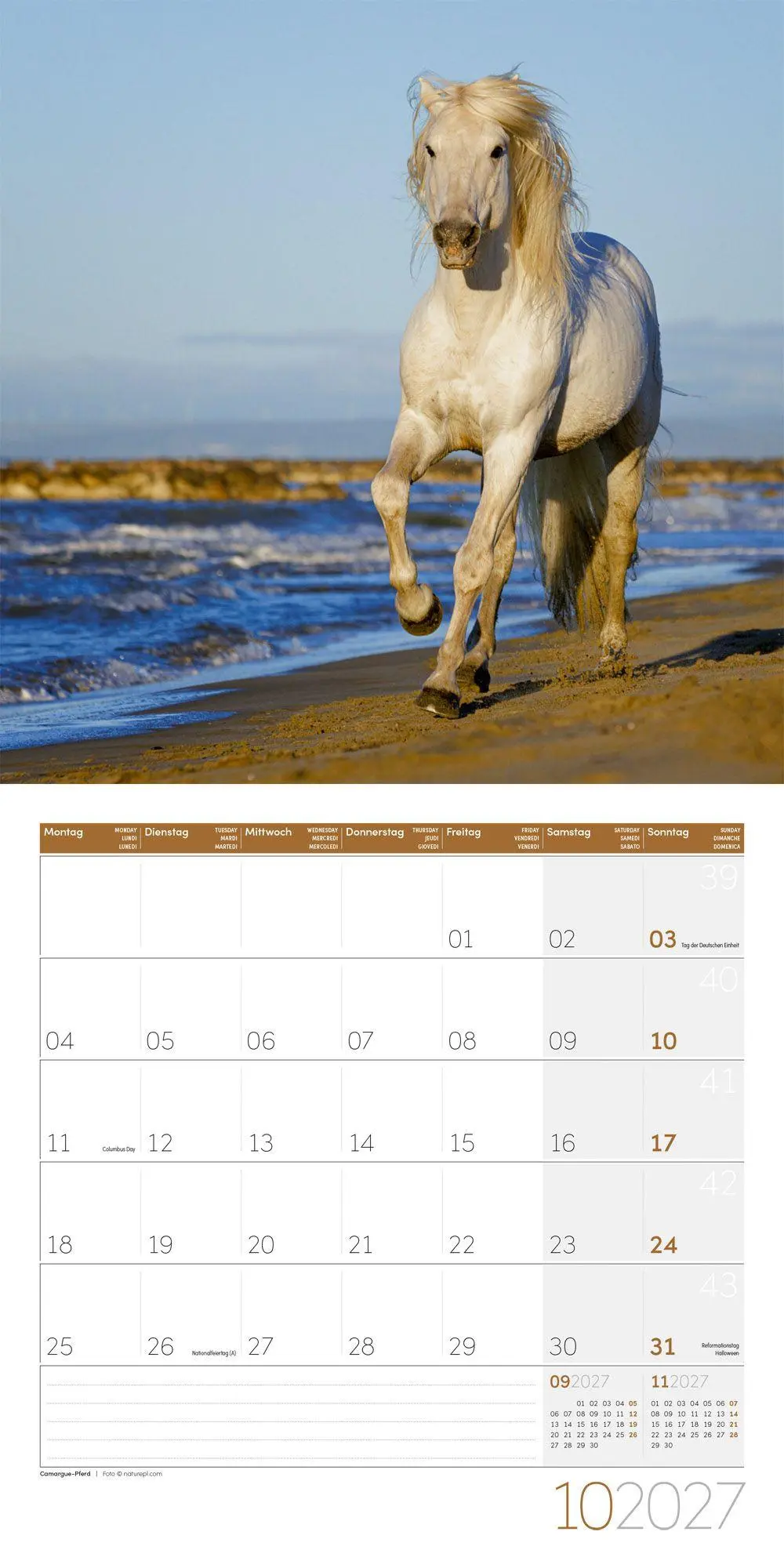 Bild: 9783838447216 | Pferde Kalender 2027 - 30x30 - Art12 | Ackermann Kunstverlag GmbH