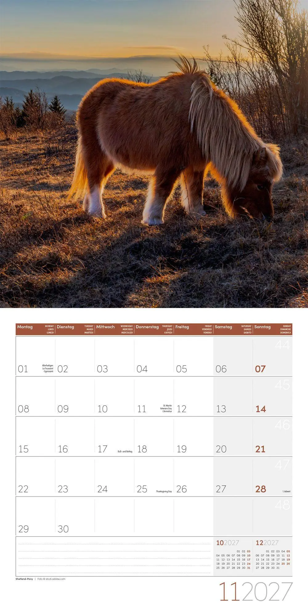 Bild: 9783838447216 | Pferde Kalender 2027 - 30x30 - Art12 | Ackermann Kunstverlag GmbH