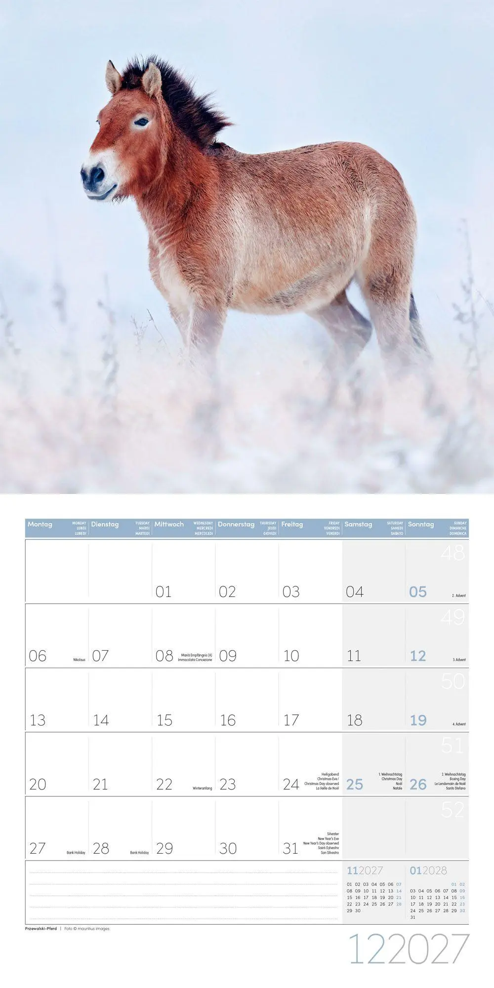 Bild: 9783838447216 | Pferde Kalender 2027 - 30x30 - Art12 | Ackermann Kunstverlag GmbH