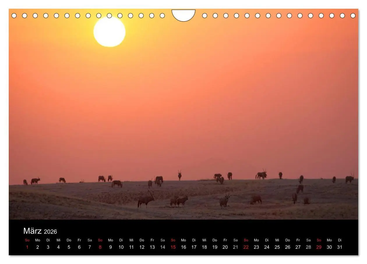 Bild: 9783516207316 | Eindrücke aus Namibia (Wandkalender 2026 DIN A4 quer), CALVENDO...