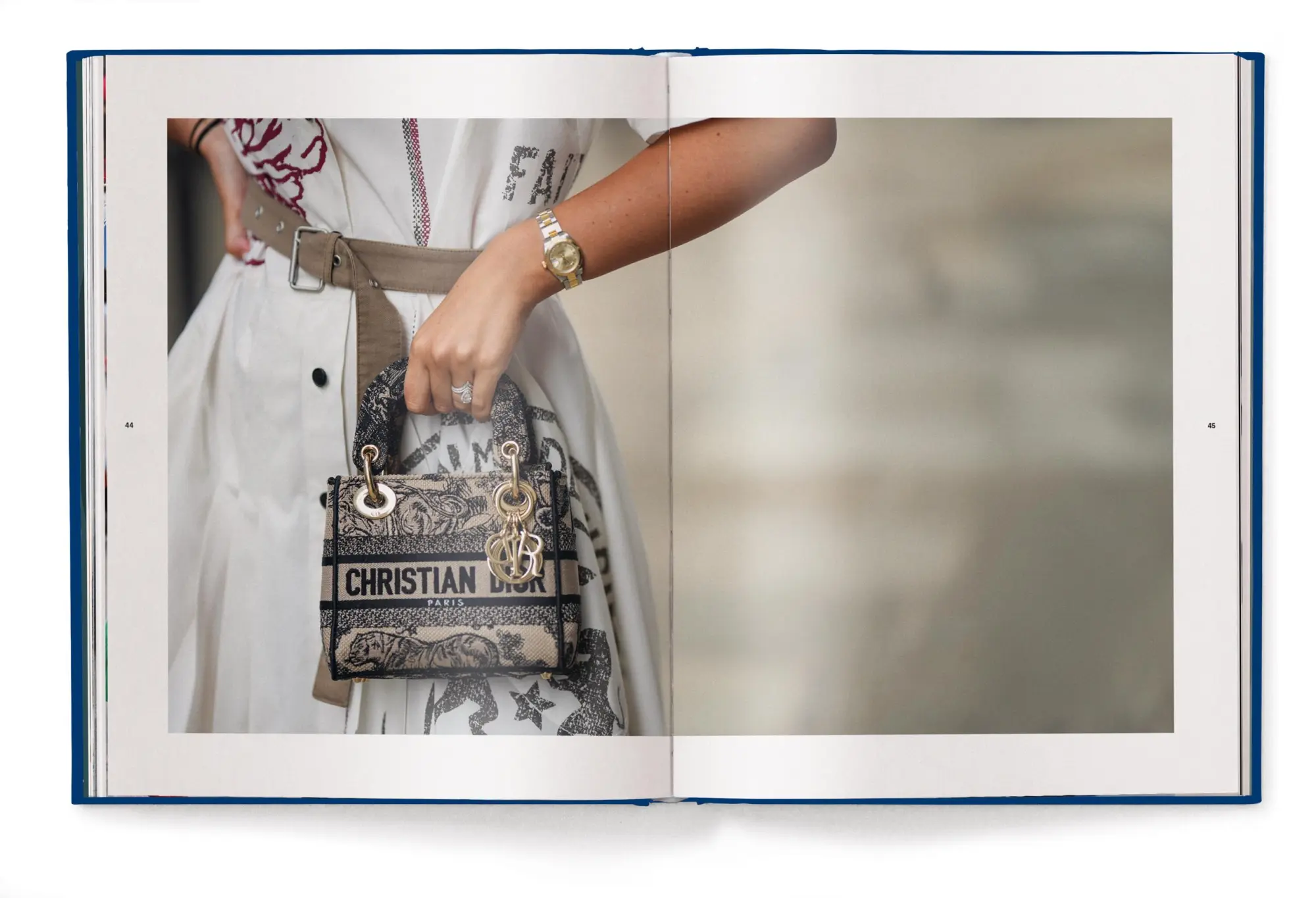 Bild: 9783961717316 | Dior Bags: Der ultimative Guide | Alexandra Fullerton | Buch | 192 S.