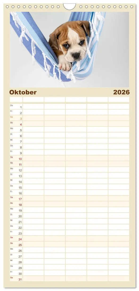 Bild: 9783516507416 | Familienplaner 2026 - Welpen in der Hängematte mit 5 Spalten...
