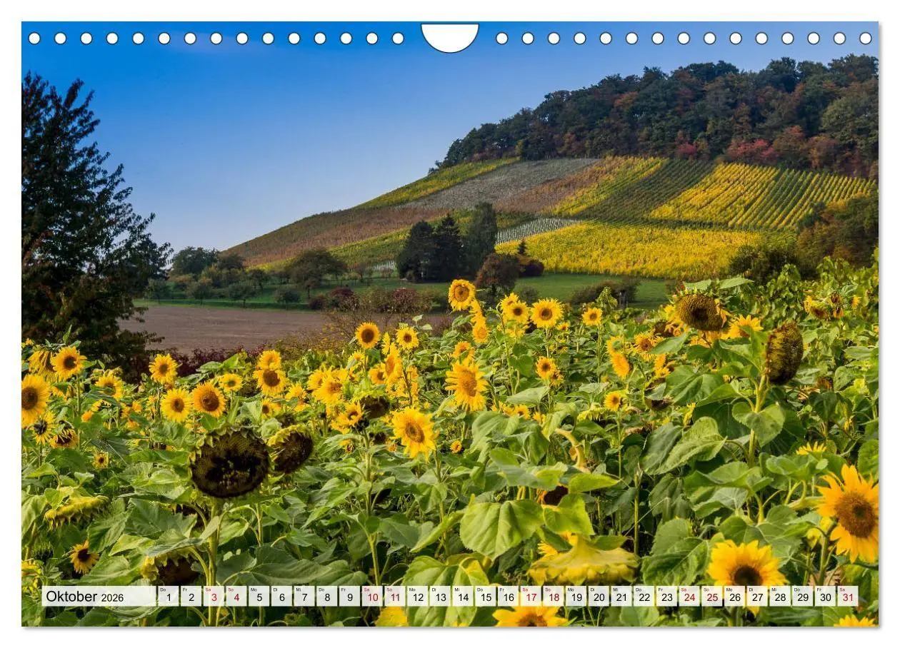 Bild: 9783516747416 | Schöner Kraichgau (Wandkalender 2026 DIN A4 quer), CALVENDO...