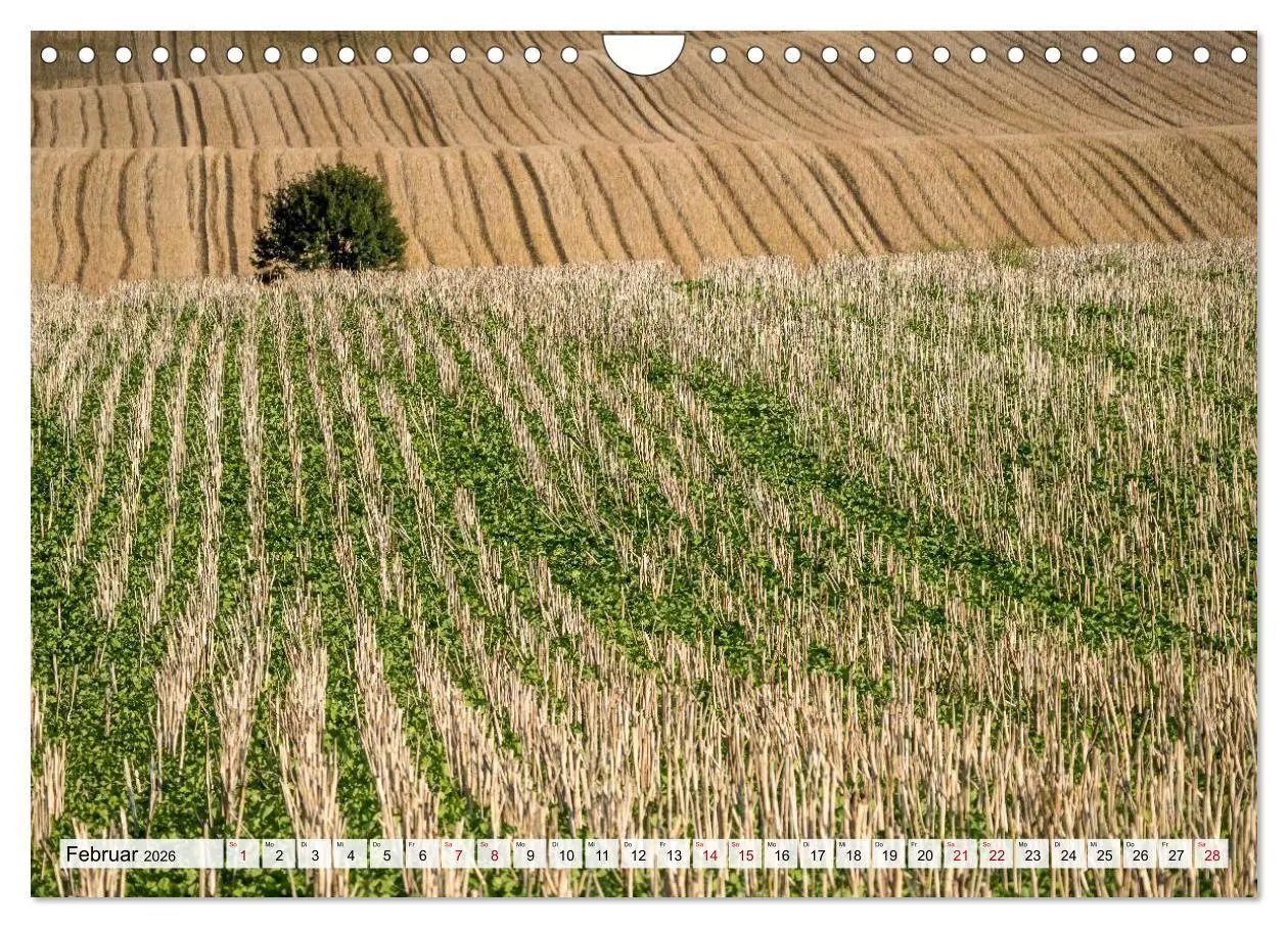 Bild: 9783516747416 | Schöner Kraichgau (Wandkalender 2026 DIN A4 quer), CALVENDO...