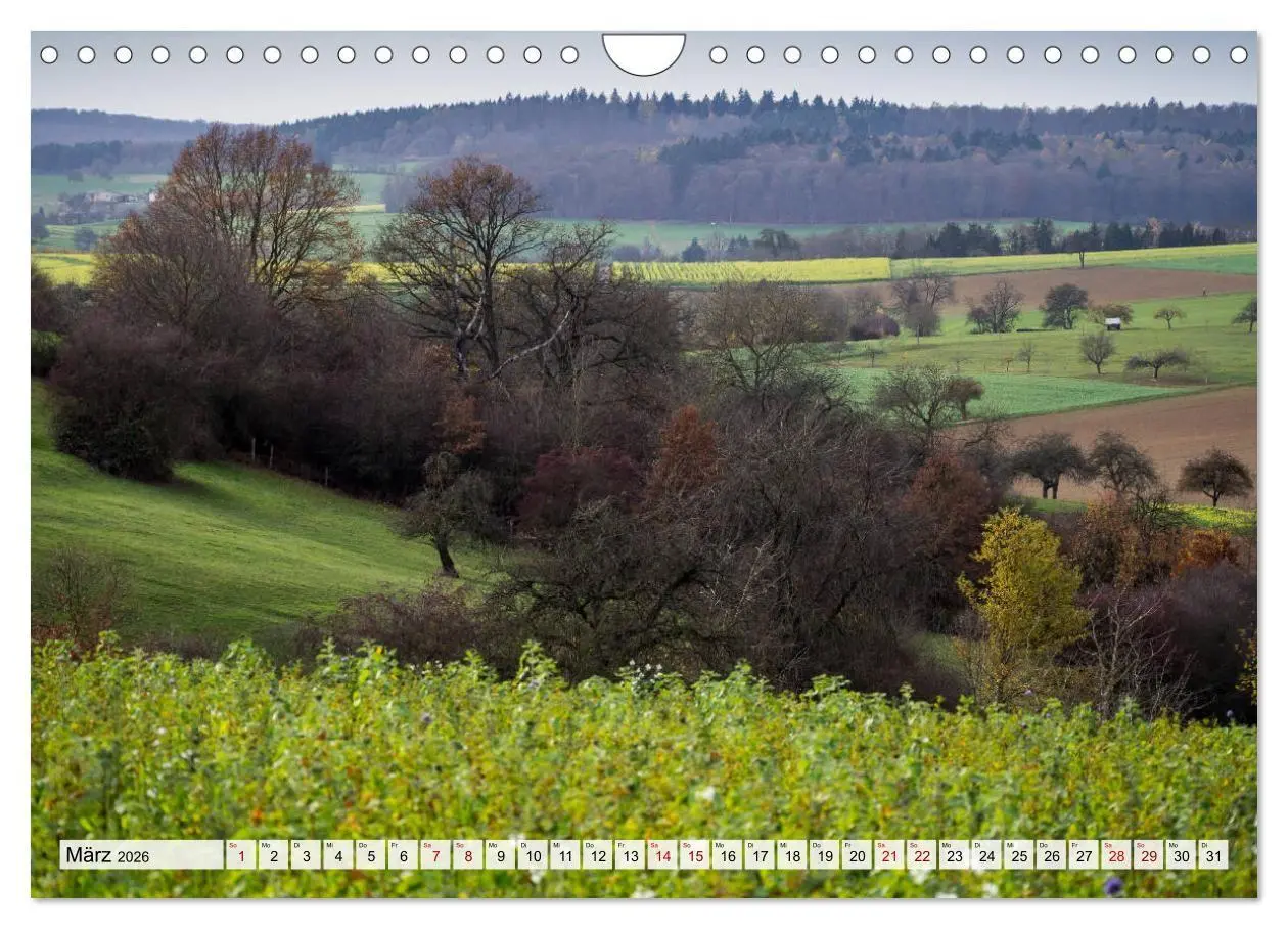 Bild: 9783516747416 | Schöner Kraichgau (Wandkalender 2026 DIN A4 quer), CALVENDO...