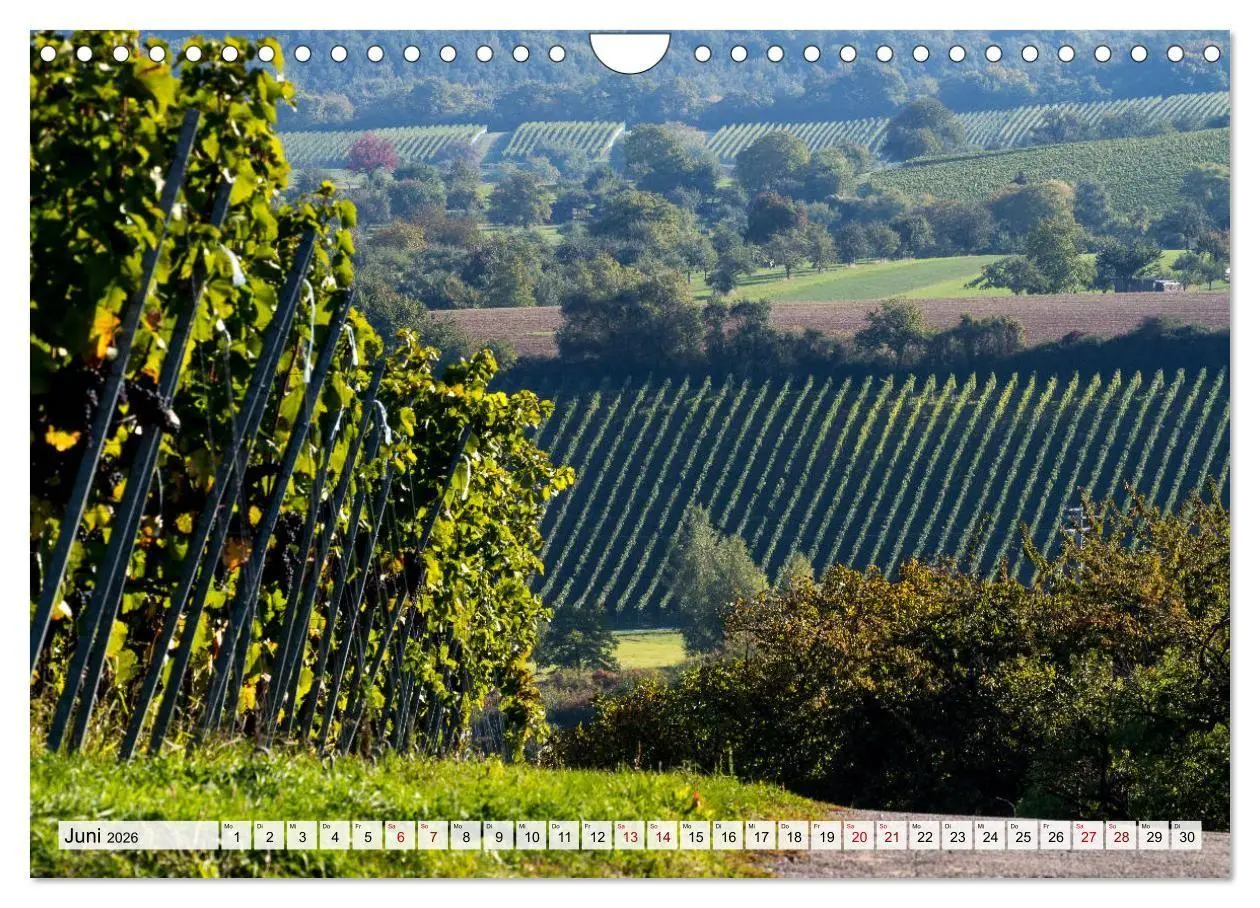 Bild: 9783516747416 | Schöner Kraichgau (Wandkalender 2026 DIN A4 quer), CALVENDO...