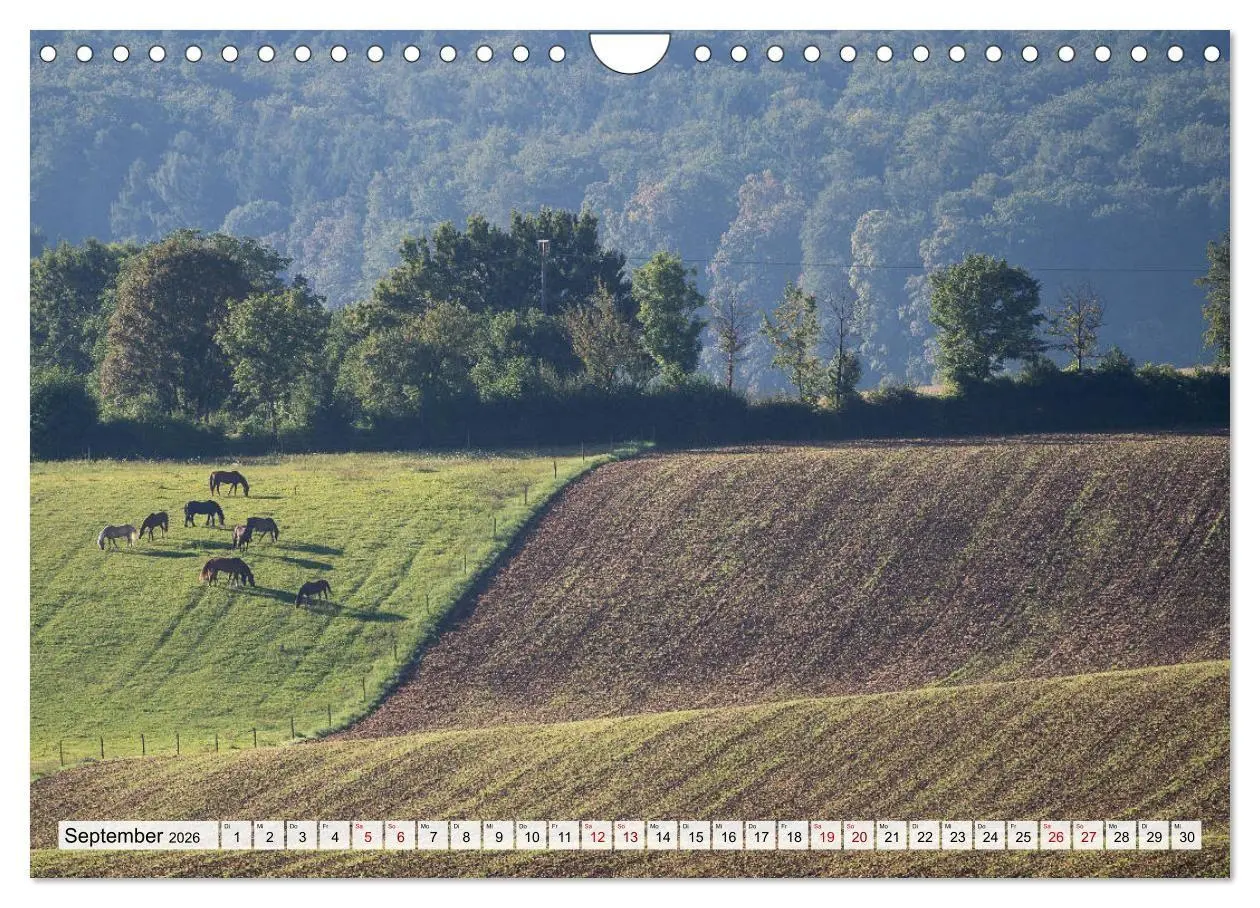 Bild: 9783516747416 | Schöner Kraichgau (Wandkalender 2026 DIN A4 quer), CALVENDO...