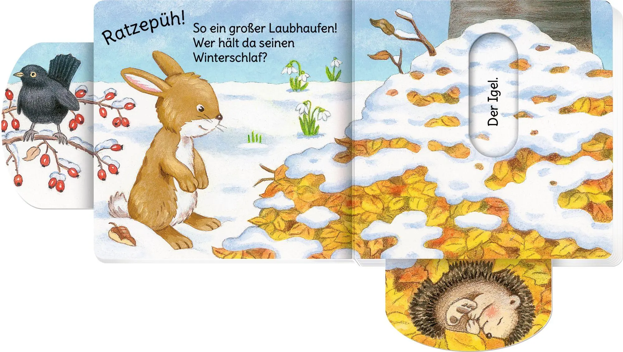 Bild: 9783649647416 | minifanten 43: Tiere im Winterwald | Sybille Brauer | Buch | 14 S.