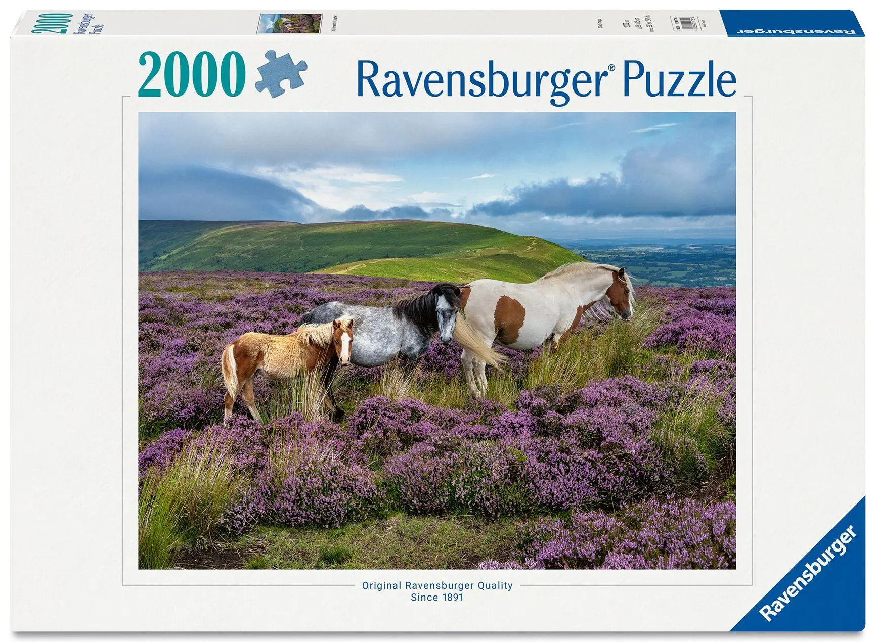 Cover: 4005555017516 | Erwachsenenpuzzle 2000 Teile - Wildpferde in der Heide | Spiel | 2026